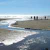 Surfrider_image2